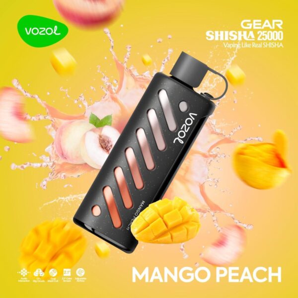 Gear Shisha 25000 Puffs - Image 16