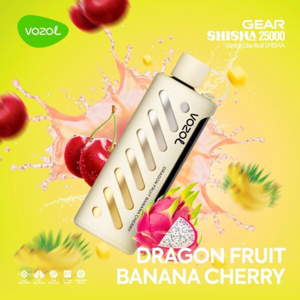 Gear Shisha 25000 Puffs - Image 18